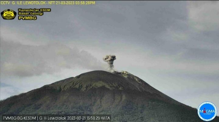 Gunung Ili Lewotolok Erupsi Hari Ini 21 Maret 2023, Masyarakat Dihimbau Tak Beraktivitas Radius 2 Km