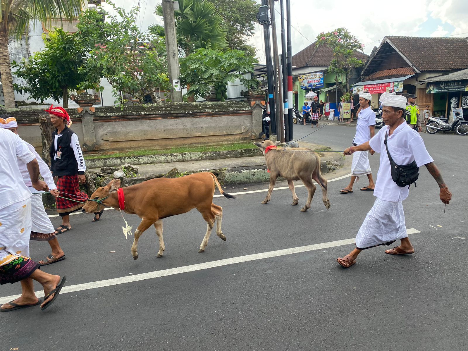 Rangkaian perayaan Hari Raya Nyepi Tahun Baru Saka 1945 di Tabanan, Bali pada 21 Maret 2023.