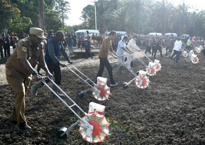 Presiden RI Joko Widodo (Jokowi) menanam benih jagung ketika berkunjung ke Kabupaten Keerom, Papua, Selasa 21 Maret 2023