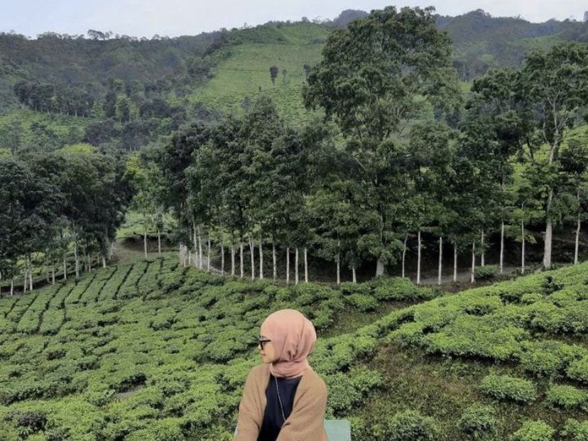 Kebun Teh Gunung Gambir /Instagram/@ndya.lm
