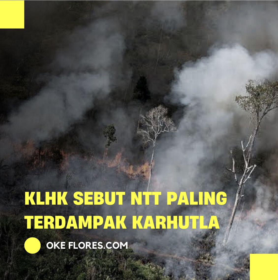 Berdasarkan data Kementerian Lingkungan Hidup dan Kehutanan (KLHK), Nusa Tenggara Timur (NTT) dilaporkan menjadi provinsi yang paling terdampak karhutla (Foto:Okeflores)