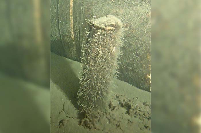 Sebuah objek tak dikenal ditemukan dekat dengan satu-satunya pipa gas yang masih utuh di bawah Laut Baltik, dalam gambar selebaran tak bertanggal ini.