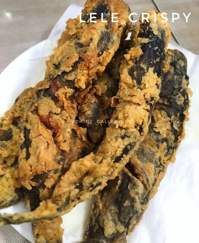 Cara membuat lele crispy renyah anti gagal
