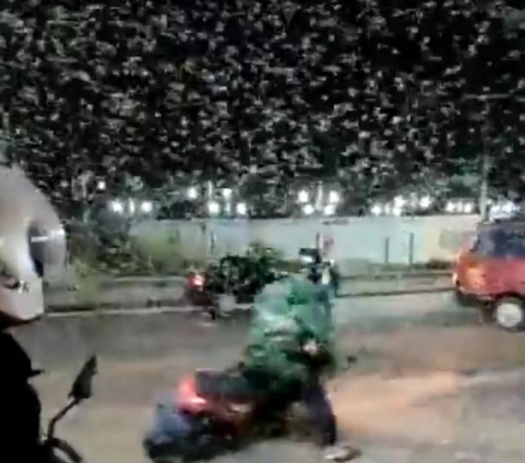 Tangkapan layar video viral fenomena laron di tengah jalan yang mengakibatkan banya pengendara roda dua jatuh karena jalanan jadi  licin 