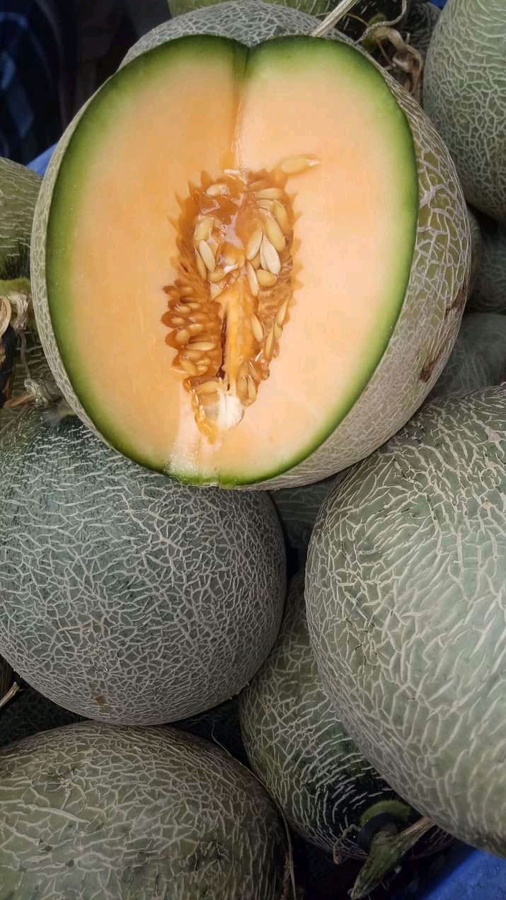 Buah melon