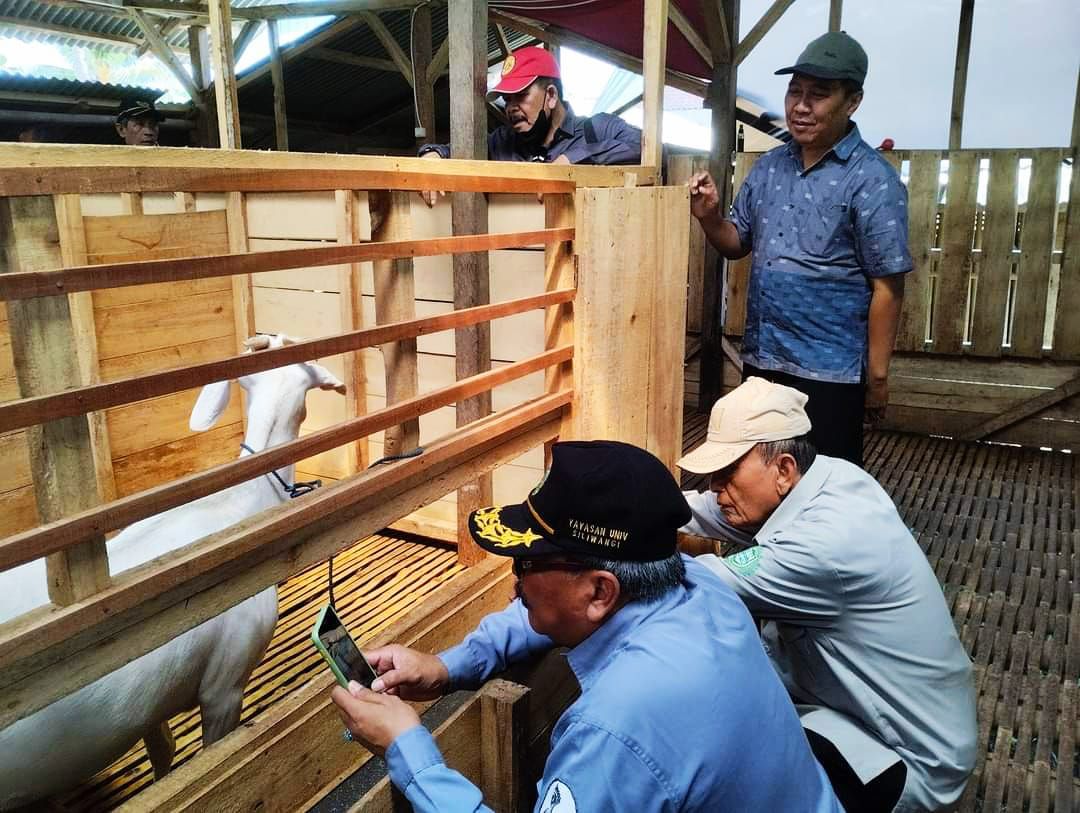 Yayasan Universitas Siliwangi (YUS)  saat melakukan peninjauan pengembangan ternak kambing susu perah di gapoktan "Ngahiji Ngajadi" yang berada di Kecamatan Kawalu Kota Tasikmalaya, Minggu (26/3/2023).*