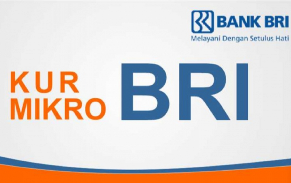 KUR Mikro Bank BRI: Solusi Tepat untuk Membuka Usaha Baru dengan Modal Terjangkau!/Tangkapan Layar/BRI