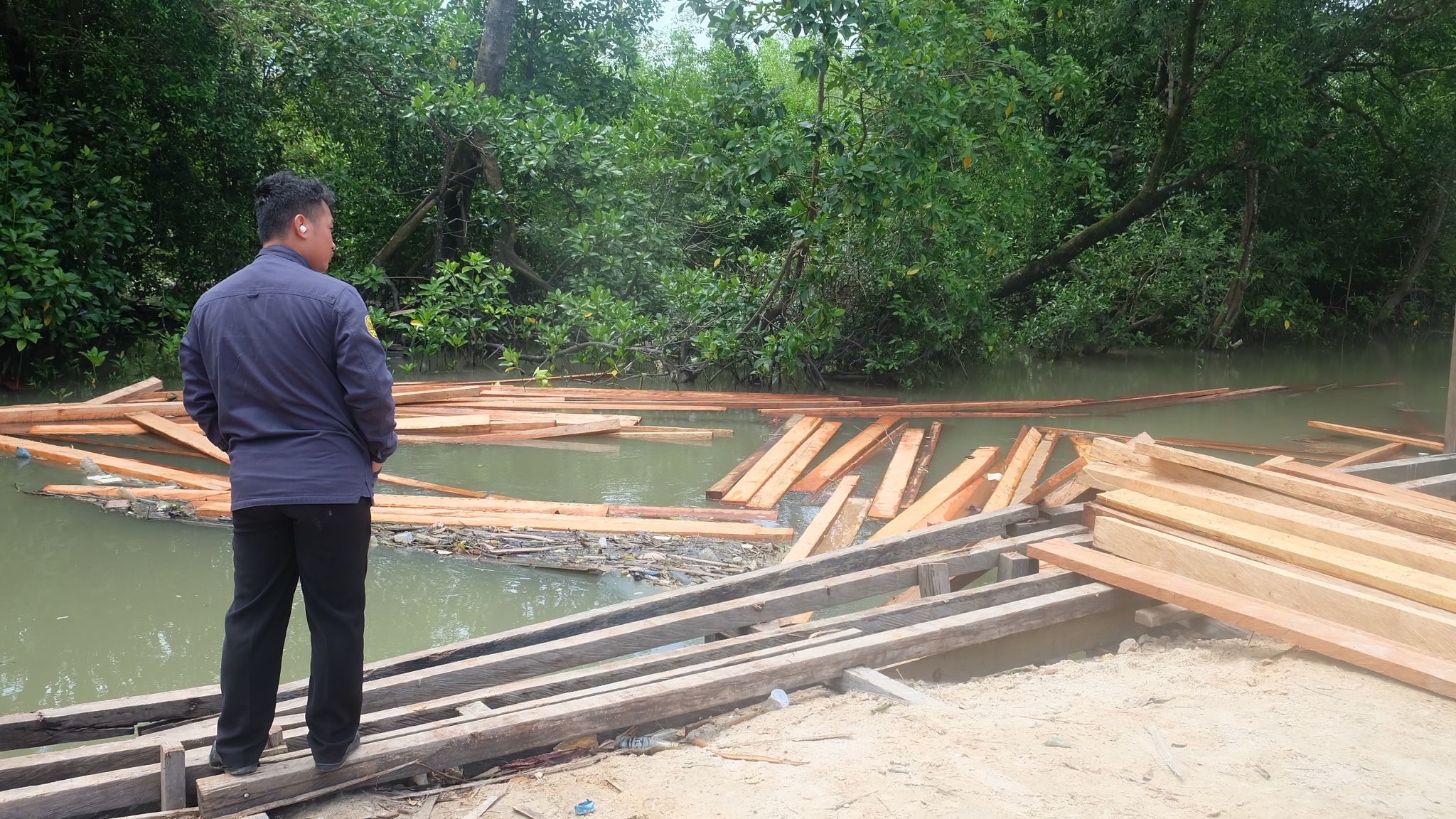 Polres Tarakan Bongkar Kasus Dugaan Illegal Logging, Belasan Kubik Kayu Diamankan.