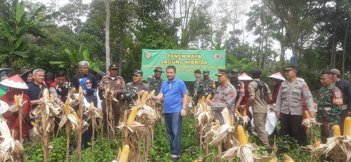 Wakil Bupati Sumedang Erwan Setiawan bersama anggota TNI-POLRI saat melakukan panen jagung Hibrida di lahan demplot pertanian milik Koramil 1004 Tanjungsari.