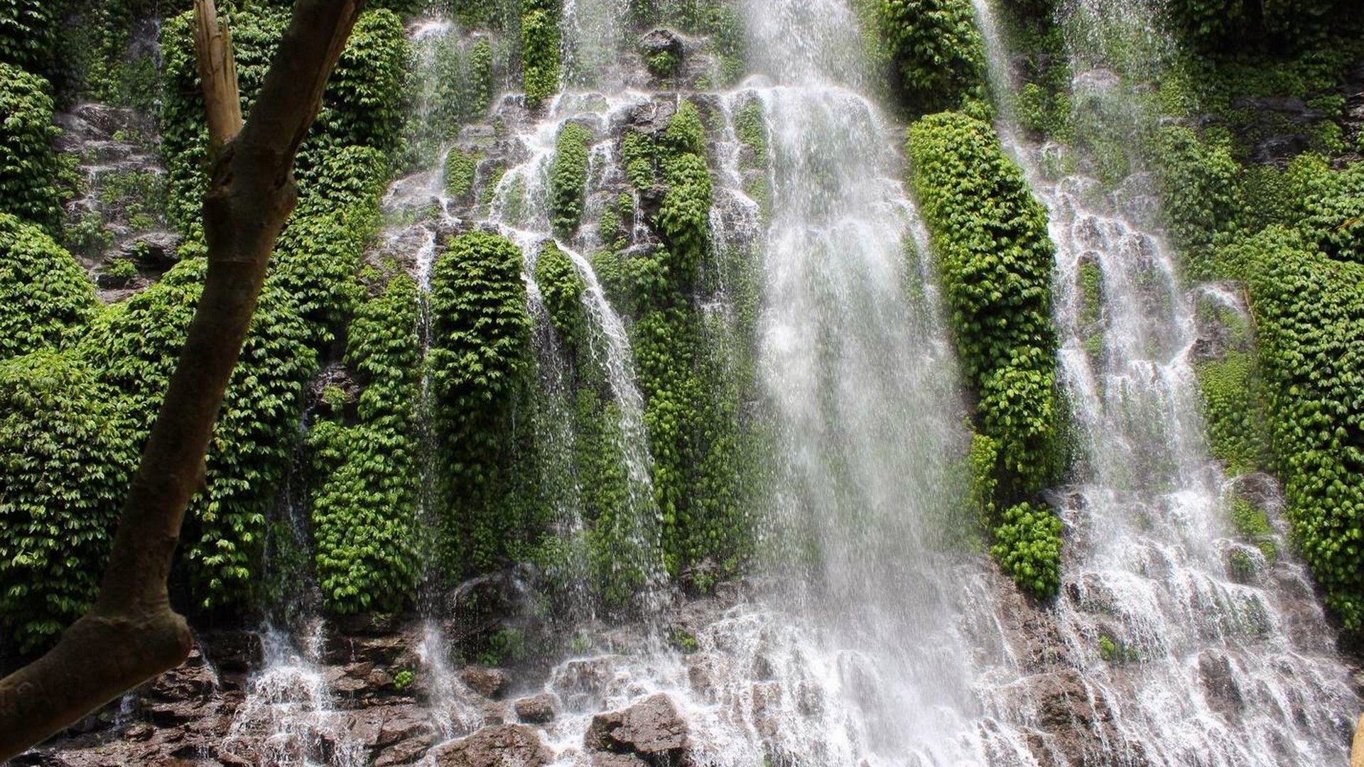 Wow! Tersembunyi dari Mata Dunia, Ini 5 Air Terjun Eksotis di Sumatera Selatan yang Harus Kamu Kunjungi