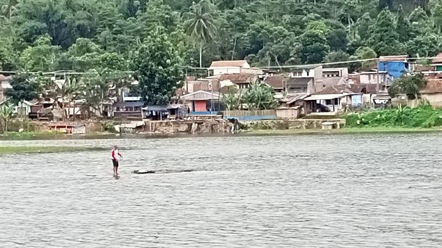 Di Situ Ciburuy, KBB (Kabupaten Bandung Barat), Jawa Barat, ada pemandangan asyik melihat orang berjalan di atas air.