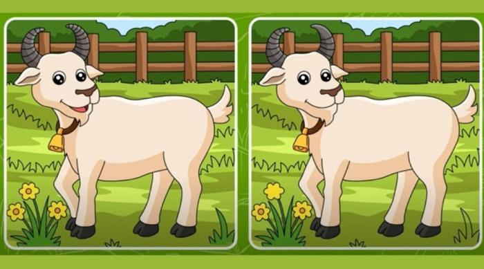 Mencari perbedaan pada gambar kambing di tes IQ dengan cepat.