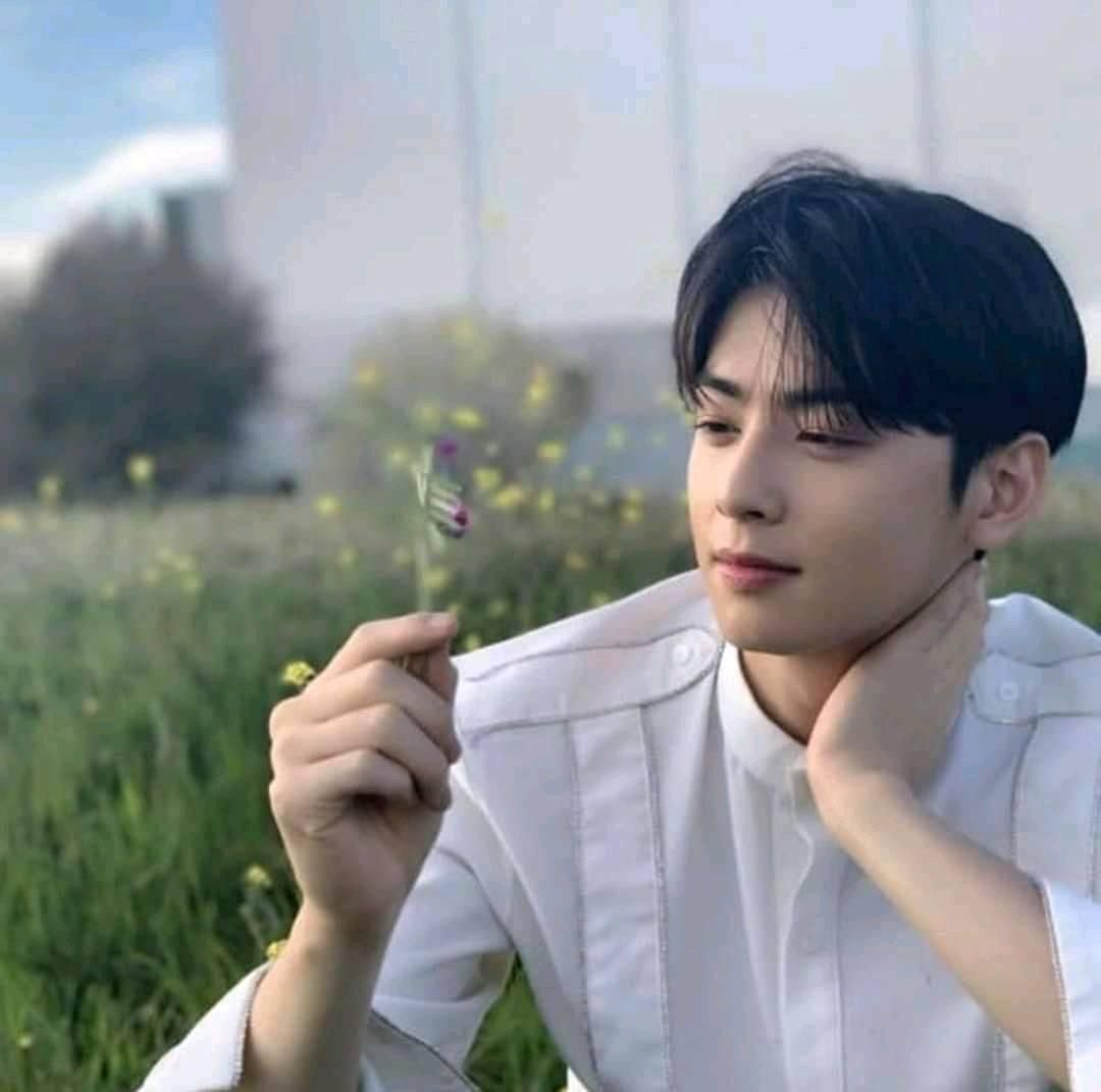 Profil Dan Biodata Cha Eun Woo Aktor Dan Idol Korea Selatan Yang Berulang Tahun Hari Ini