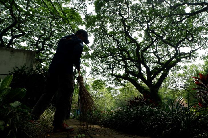 Ditanami berbagai jenis pepohonan taman di Kota Bandung diciptakan untuk jadi paru-paru kota.