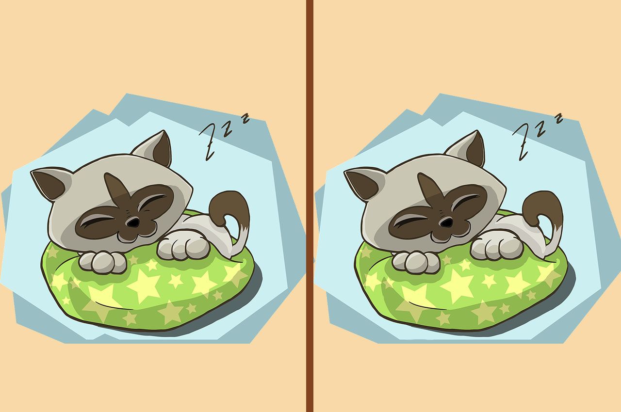 Mari ikuti tes IQ dan cari 4 perbedaan secara perlahan pada anak kucing yang sedang tidur itu. Jangan sampai membangunkan si kucing!