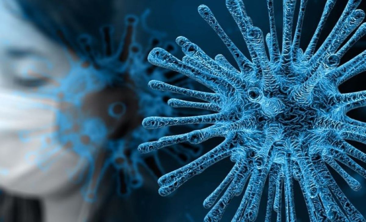 Ilustrasi -  Waspada Virus MARBURG yang Paling Mematikan, Gejala Mirip Demam Berdarah.