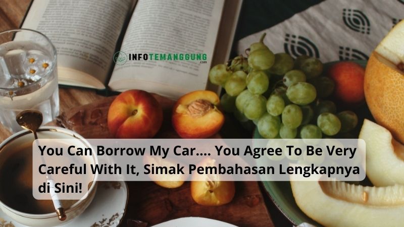 You Can Borrow My Car…. You Agree To Be Very Careful With It, Simak Pembahasan Lengkapnya di Sini!