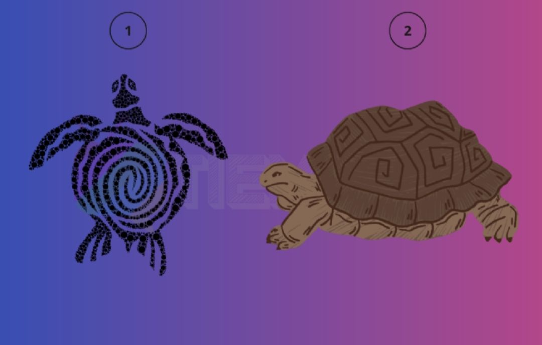 Tes psikologi. Pilih kura-kura pada gambar akan ungkap tentang Anda.