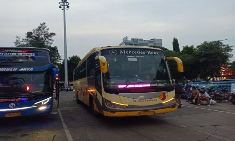 Harga Tiket Bus Pahala Kencana Lebaran 2023, Rute Jakarta - Jember, Banyuwangi, Madura, dan Denpasar