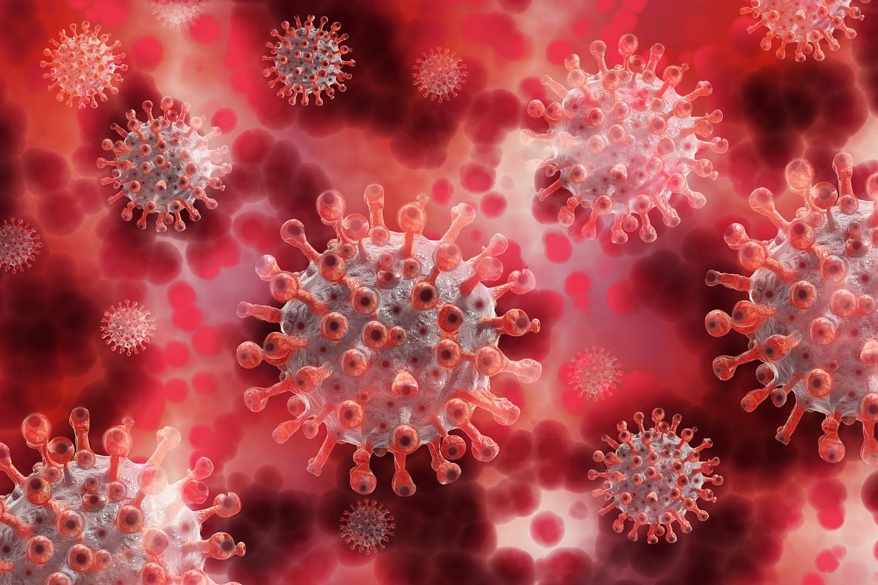 Illustrasi/ Indonesia Waspadai Virus Marburg yang Mematikan/pixabay.com/geralt/