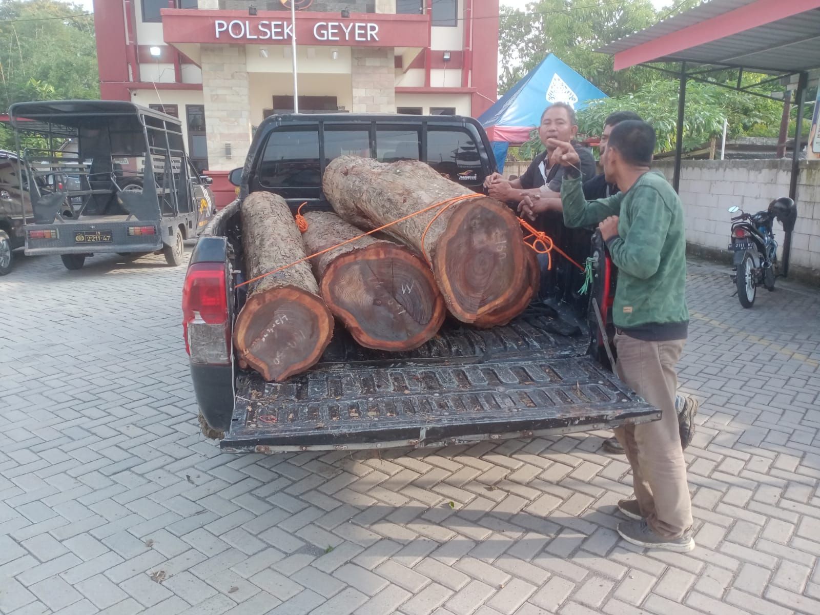 Polisi menyita batang kayu sonokeling dari tangan dua pelaku. Tiga pelaku lain masih dalam pengejaran.