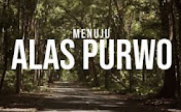 Hutan Alas Purwo dikenal paling angker di Pulau Jawa karena banyak kisah mistis.