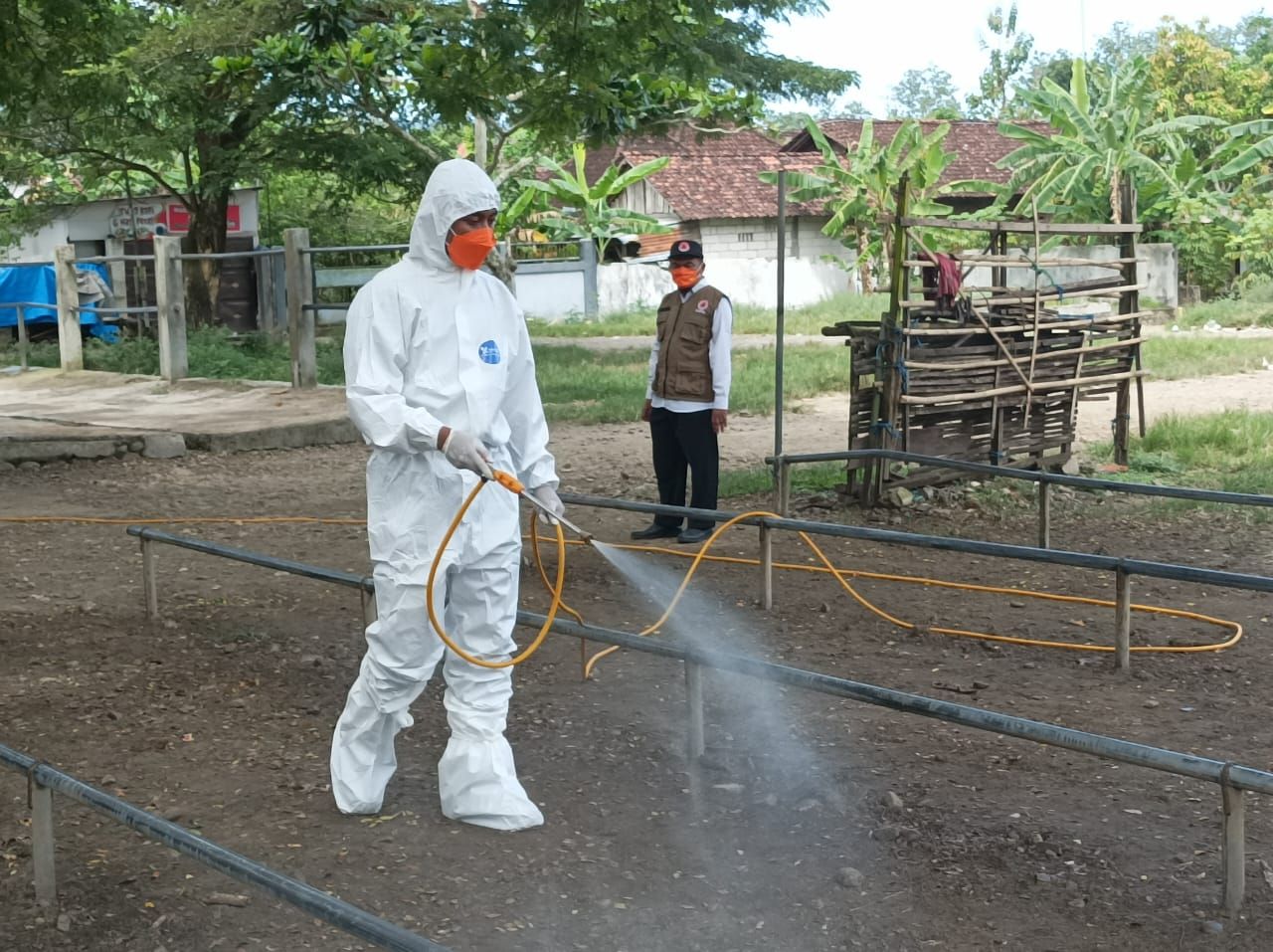 Badan Penanggulangan Bencana Daerah (BPBD) Jawa Timur terus menggalakkan penyemprotan disinfektan Penyakit Mulut dan Kuku (PMK) di Jatim.