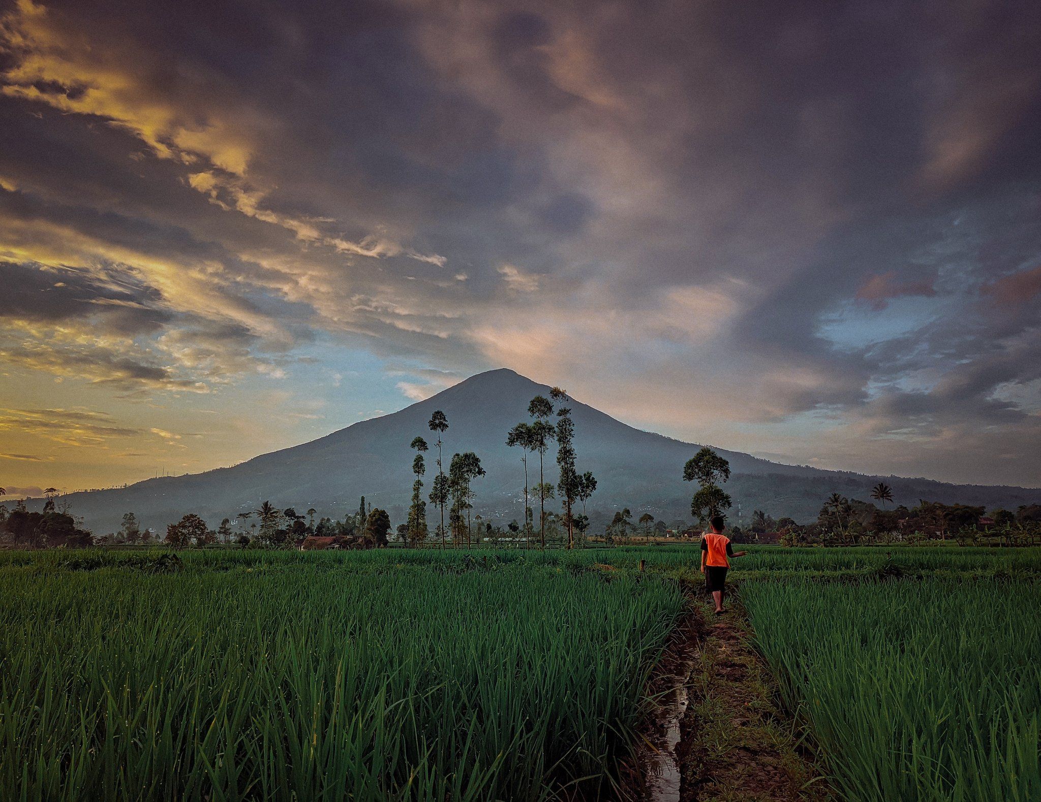 Ilustrasi - Tempat Wisata Alam di Kota Garut Jawa Barat