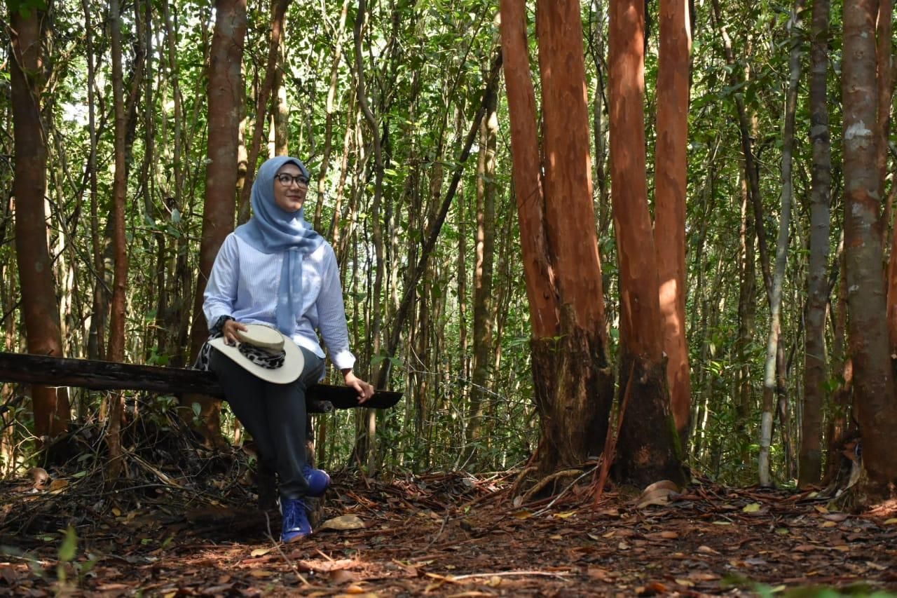 Hutan Pelawan Namang Bangka Tengah//Foto: Melati Erzaldi.*