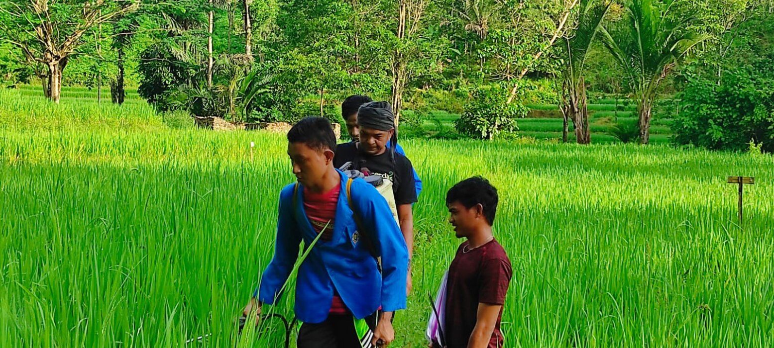 Lima mahasiswa Unismuh Makassar belajar pertanian alami pada petani Bulukumba di Desa Salassae 