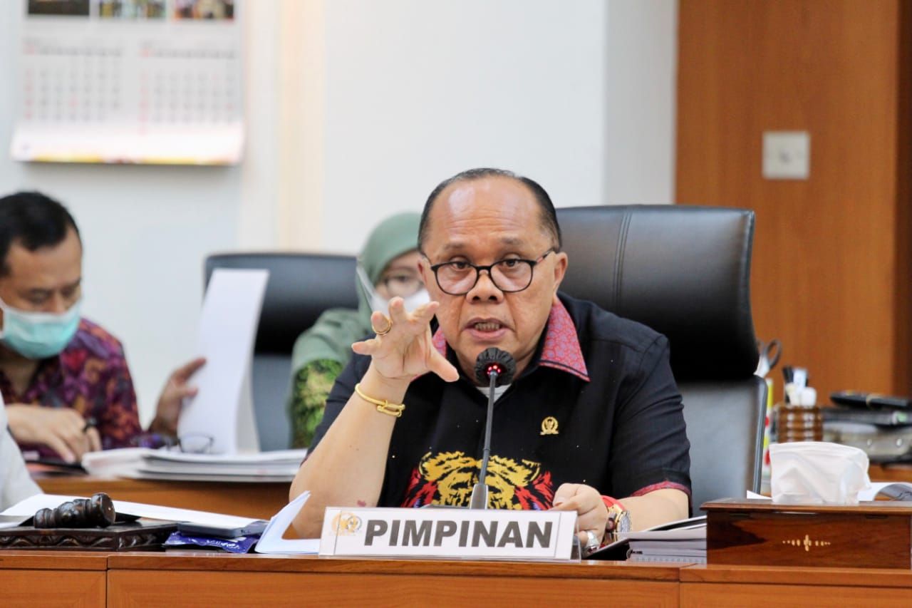 Wakil Ketua Komisi II DPR RI Junimart Girsang.