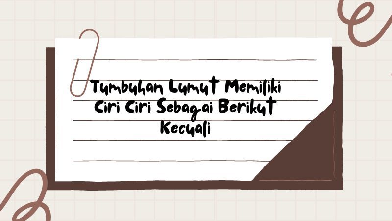 Tumbuhan Lumut Memiliki Ciri Ciri Sebagai Berikut Kecuali Halaman 3 Tumbuhan Lumut Memiliki Ciri Ciri Sebagai Berikut Kecuali Halaman 3
