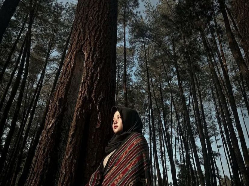 Hutan Pinus Nongko Ijo/Instagram /@jonandha.ap