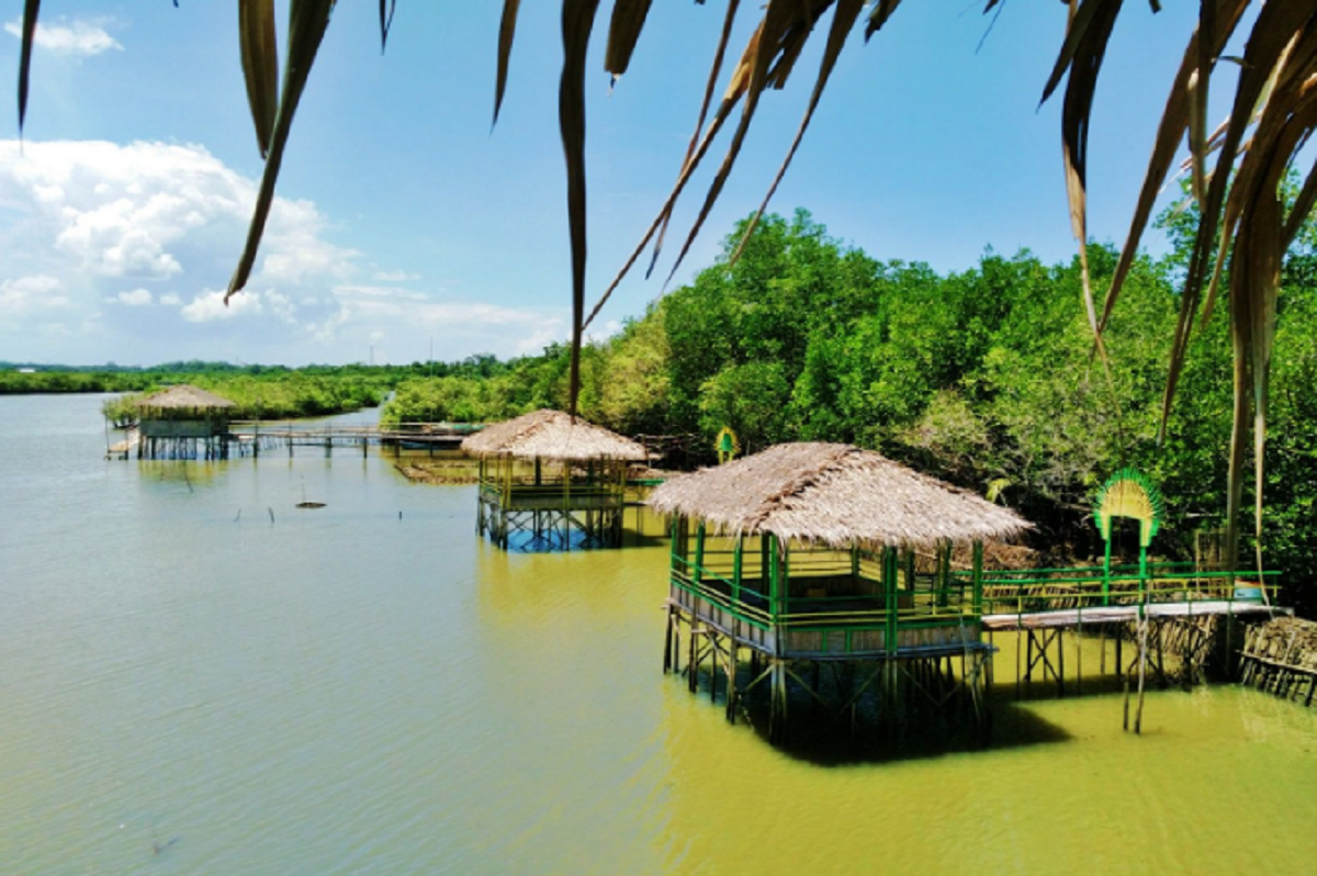 Ilustrasi. Wisata Hutan Payau (Mangrove) Cilacap: Keindahan Alam yang Menakjubkan/Tangkapan Layar/Instagram.com