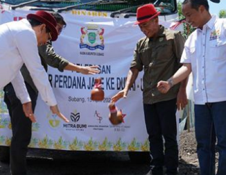 Bupati dan Wakil Bupati Subang saat melakukan pelepasan ekspor jahe di Gudang Barang pada Sabtu, 15 April 2023.