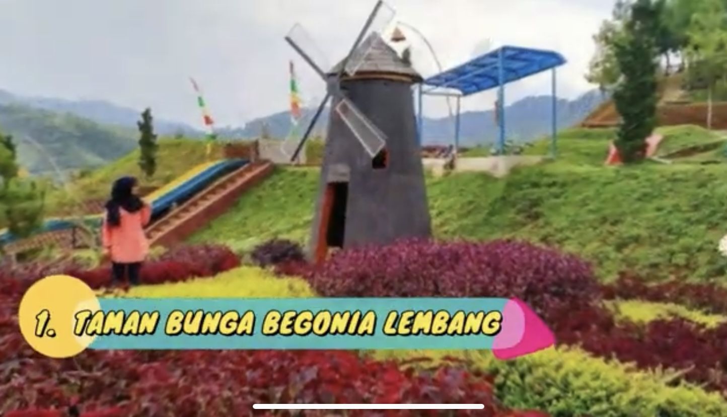 Wisata Taman Bunga Begonia Lembang.