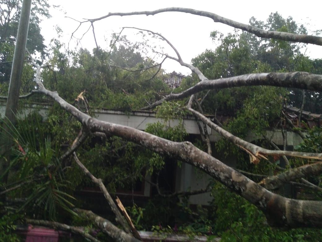 Puluhan rumah warga di Kecamatan Sadananya dan Kecamatan Tambaksari, Kabupaten Ciamis, rusak tertimpa pohon, Senin 24 April 2023.*/kabar-priangan.com/Agus P