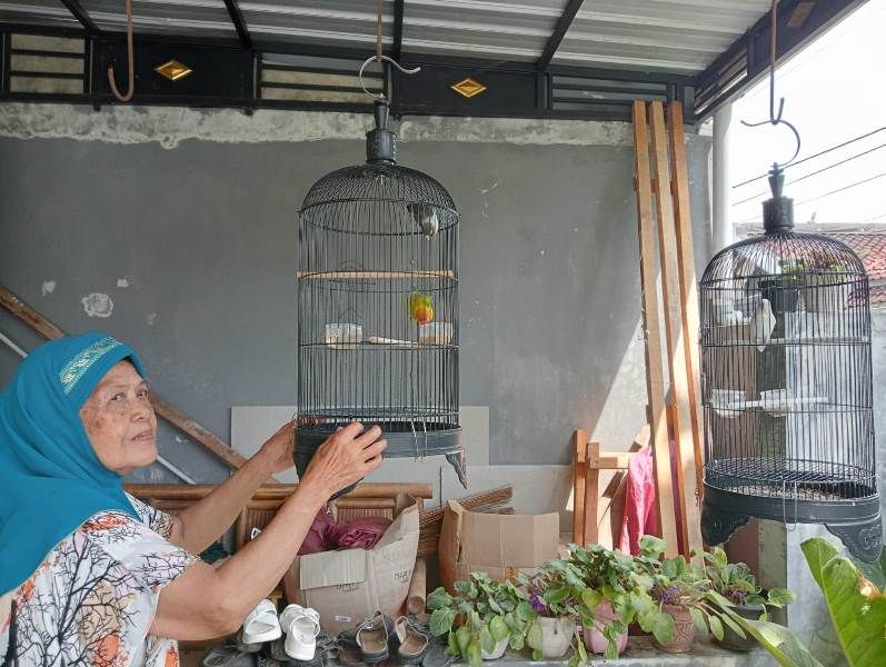 Memelihara burung kicauan adalah salah satu cara nenek Supriyati menjaga kesehatan mentalnya