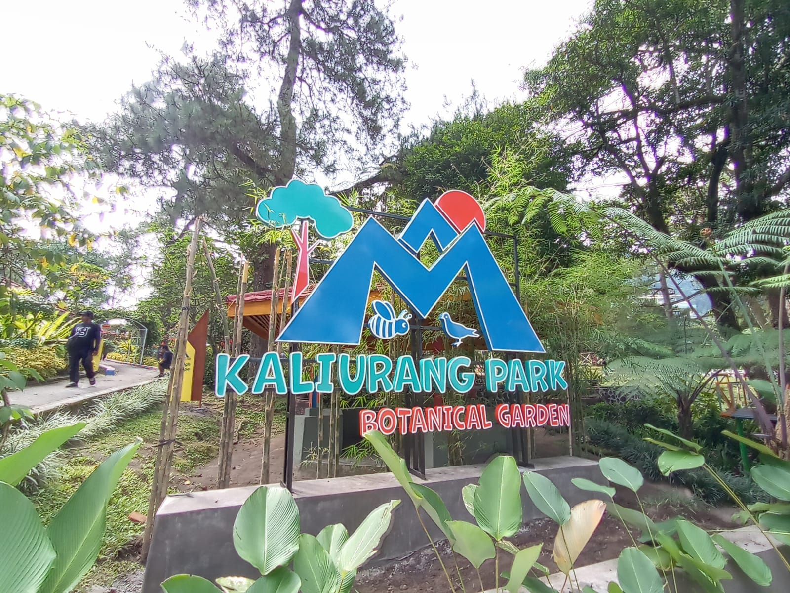 Inilah dua tempat wisata keluarga maupun wisata edukasi di Jogja, salah satunya Kaliurang Park Botanical Garden.