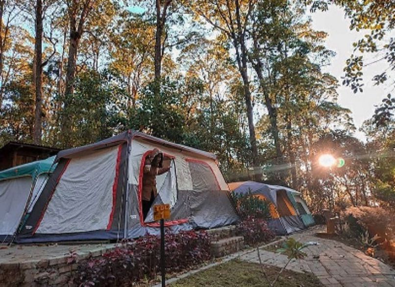 Mojosemi Forest Park Juga menawarkan Paket Camping