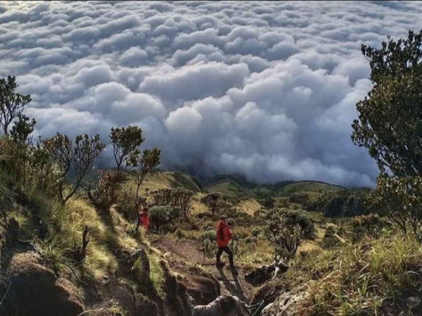 Gunung Slamet/Instagram/@pendakisetapakjejakindonesia