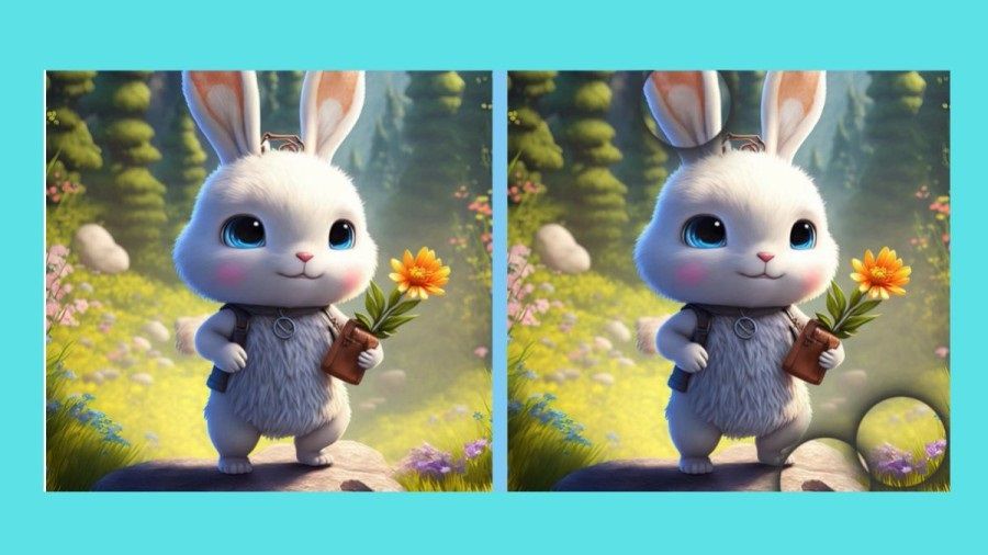 Jawaban tes IQ dalam menemukan perbedaan gambar kelinci. 