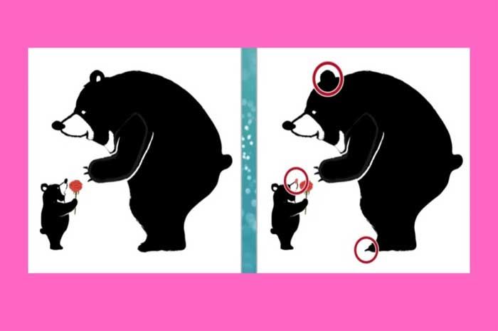 Tiga perbedaan gambar beruang di tes IQ ada di sini.