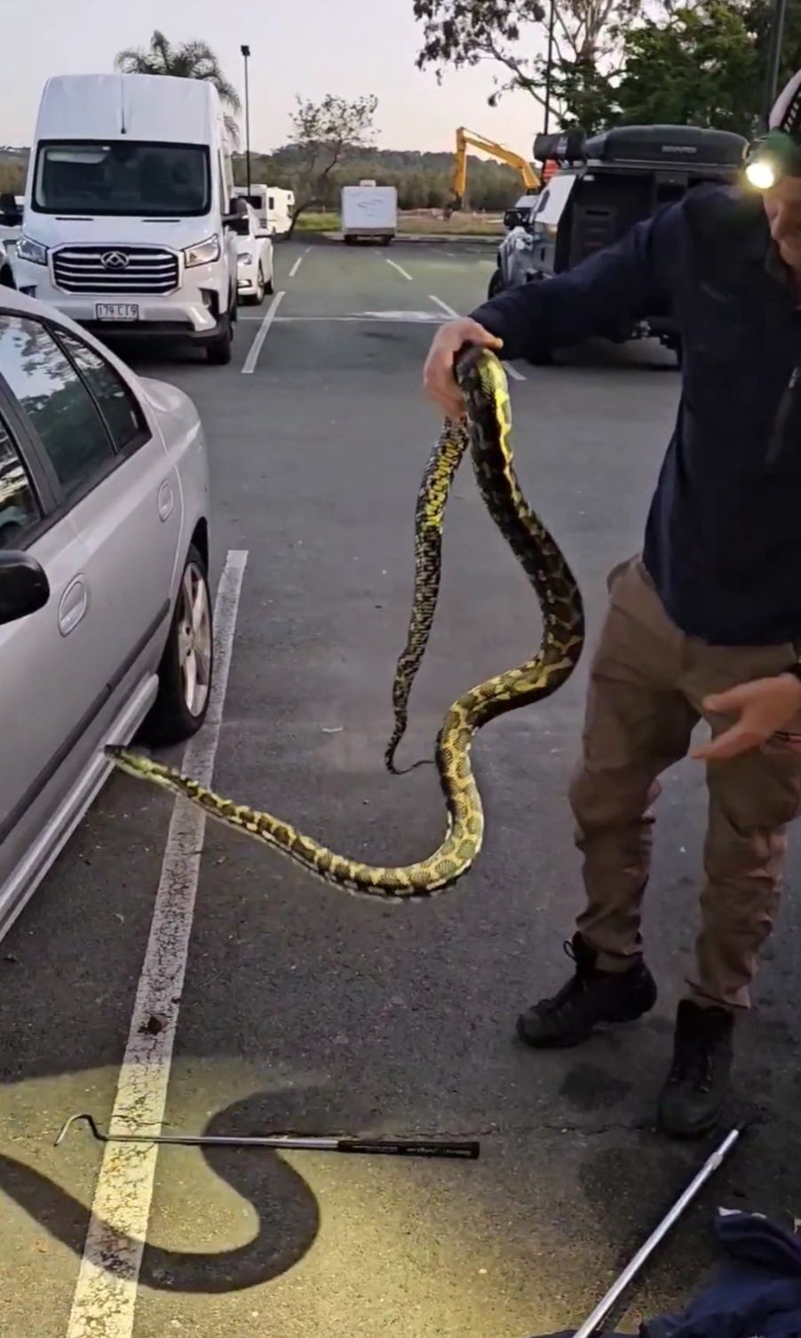 Stuart McKenzie sang penangkap ular mengatakan bahwa biasanya tidak mudah mengeluarkan mereka dari mobil.*/  