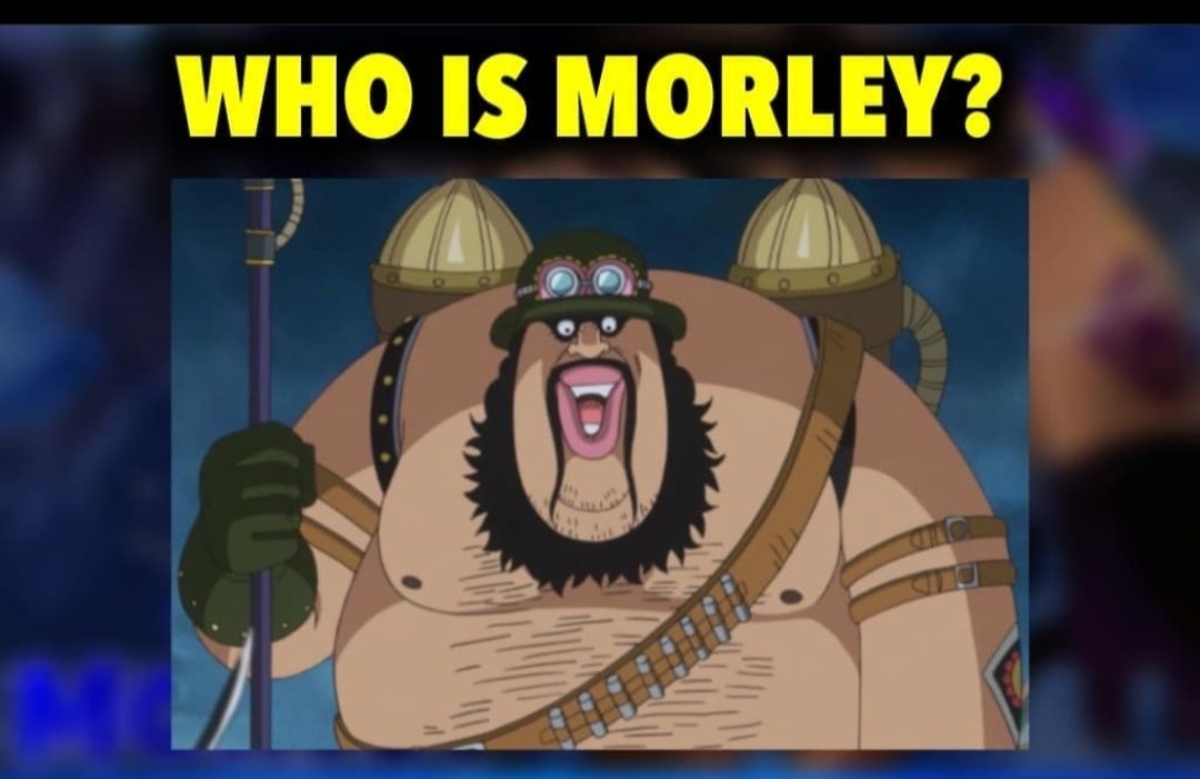 Morley salah satu komandan dari pasukan revolusi di One Piece. 