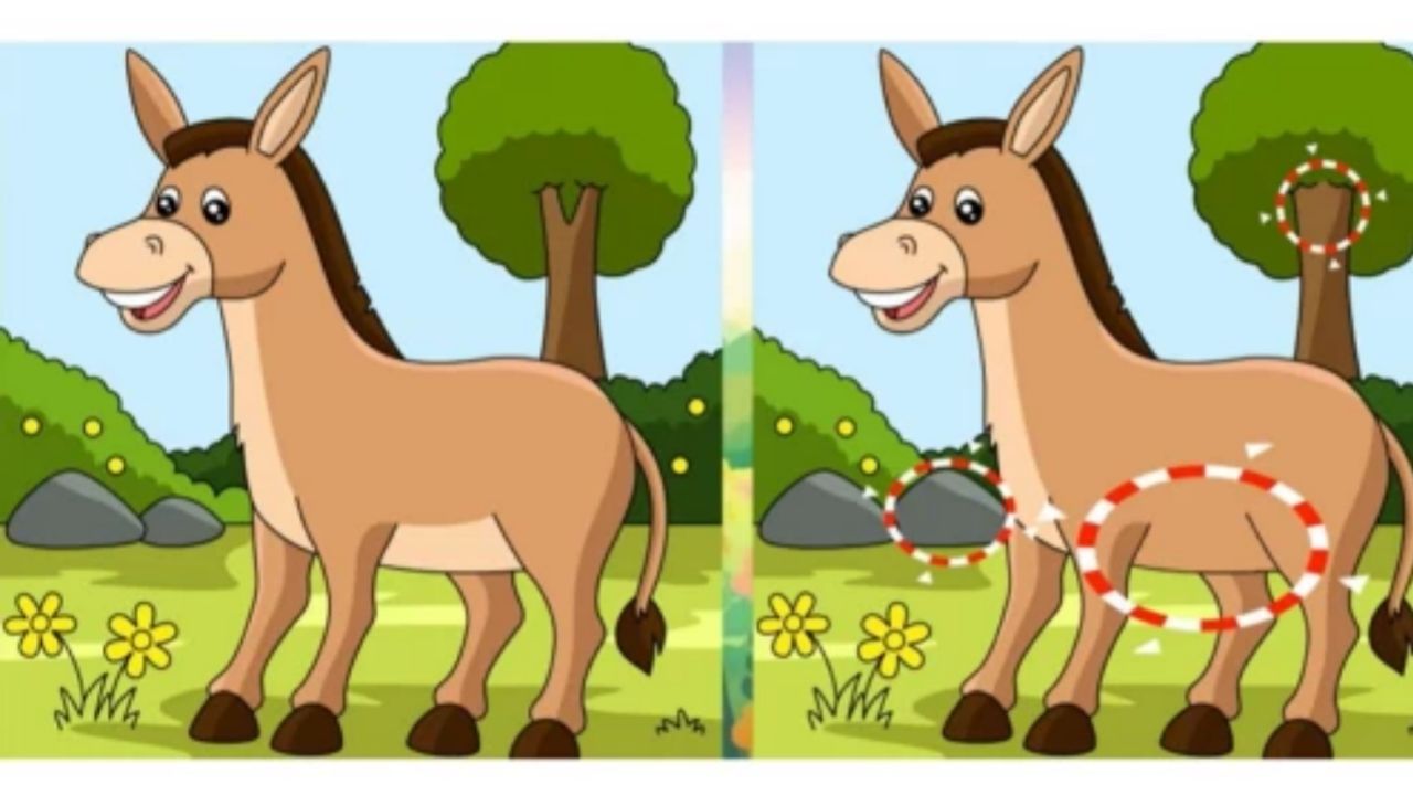 kunci jawaban Tes IQ ketajaman mata untuk menemukan 3 perbedaan pada gambar keledai di sebuah hutan, jika bisa maka mencerminkan sifat dan sikap