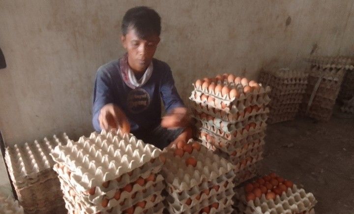 Pedagang Telur Ayam Mumu di Indramayu/SabaCirebon 