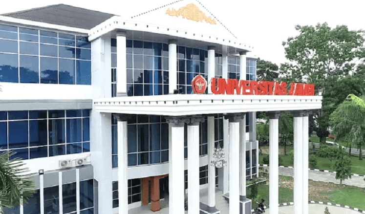 Inilah tujuh universitas terbaik di Jambi versi Webometric 2023, ada Universitas Batanghari dan Universitas Jambi.
