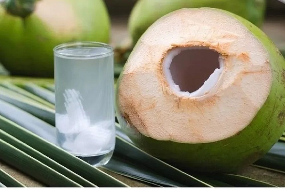Air kelapa untuk obat herbal liver dr Zaidul Akbar.