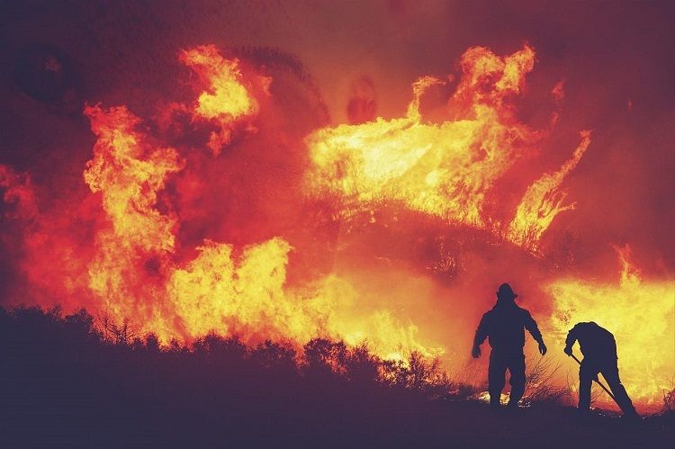 Ilustrasi kebakaran hutan dan lahan atau karhutla